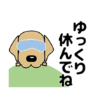 大きな文字 優しい気づかい 犬好きさんへ（個別スタンプ：25）