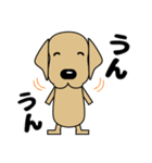 大きな文字 優しい気づかい 犬好きさんへ（個別スタンプ：26）