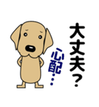 大きな文字 優しい気づかい 犬好きさんへ（個別スタンプ：31）