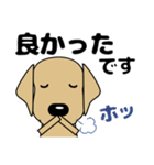 大きな文字 優しい気づかい 犬好きさんへ（個別スタンプ：33）