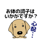 大きな文字 優しい気づかい 犬好きさんへ（個別スタンプ：34）