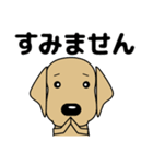 大きな文字 優しい気づかい 犬好きさんへ（個別スタンプ：35）