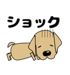 大きな文字 優しい気づかい 犬好きさんへ（個別スタンプ：37）