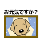 大きな文字 優しい気づかい 犬好きさんへ（個別スタンプ：38）