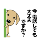 大きな文字 優しい気づかい 犬好きさんへ（個別スタンプ：40）