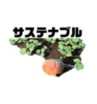なにが？って思うスタンプ 1段（個別スタンプ：4）