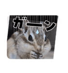 みんなと一緒 29（個別スタンプ：2）