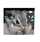 みんなと一緒 29（個別スタンプ：3）