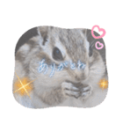みんなと一緒 29（個別スタンプ：4）