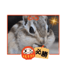 みんなと一緒 29（個別スタンプ：7）