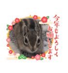 みんなと一緒 29（個別スタンプ：8）