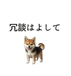 柴犬で返信！（個別スタンプ：7）