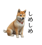 柴犬で返信！（個別スタンプ：9）