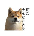 柴犬で返信！（個別スタンプ：11）