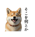 柴犬で返信！（個別スタンプ：21）