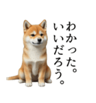 柴犬で返信！（個別スタンプ：22）