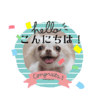 ワンちゃんスタンプ、yamami（個別スタンプ：5）