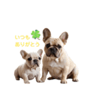 フレブルBabies（個別スタンプ：14）