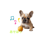 フレブルBabies（個別スタンプ：15）