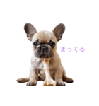 フレブルBabies（個別スタンプ：17）