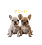 フレブルBabies（個別スタンプ：22）
