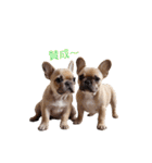 フレブルBabies（個別スタンプ：31）