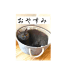 鉄板たなかと仲間（個別スタンプ：2）