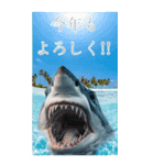 ⚫正月シャーク (年越し/干支/お年玉)（個別スタンプ：10）