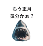 ⚫正月シャーク (年越し/干支/お年玉)（個別スタンプ：13）