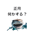 ⚫正月シャーク (年越し/干支/お年玉)（個別スタンプ：16）