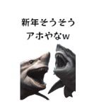 ⚫正月シャーク (年越し/干支/お年玉)（個別スタンプ：18）