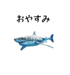 ⚫正月シャーク (年越し/干支/お年玉)（個別スタンプ：26）