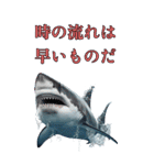 ⚫正月シャーク (年越し/干支/お年玉)（個別スタンプ：36）