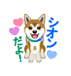 柴犬シオンくんのスタンプだよ(秋田弁入)（個別スタンプ：1）