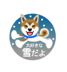 柴犬シオンくんのスタンプだよ(秋田弁入)（個別スタンプ：10）