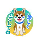 柴犬シオンくんのスタンプだよ(秋田弁入)（個別スタンプ：12）