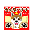 柴犬シオンくんのスタンプだよ(秋田弁入)（個別スタンプ：14）