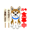 柴犬シオンくんのスタンプだよ(秋田弁入)（個別スタンプ：17）