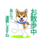 柴犬シオンくんのスタンプだよ(秋田弁入)（個別スタンプ：19）