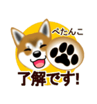 柴犬シオンくんのスタンプだよ(秋田弁入)（個別スタンプ：29）