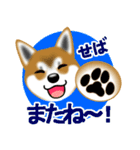 柴犬シオンくんのスタンプだよ(秋田弁入)（個別スタンプ：31）