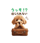 リアクション大のトイプードル（個別スタンプ：24）