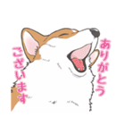 殿と犬（個別スタンプ：5）