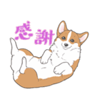 殿と犬（個別スタンプ：6）