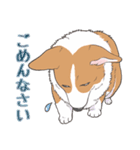 殿と犬（個別スタンプ：7）