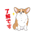 殿と犬（個別スタンプ：11）