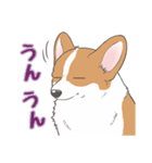 殿と犬（個別スタンプ：13）