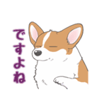 殿と犬（個別スタンプ：14）