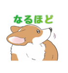 殿と犬（個別スタンプ：15）