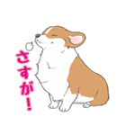 殿と犬（個別スタンプ：20）